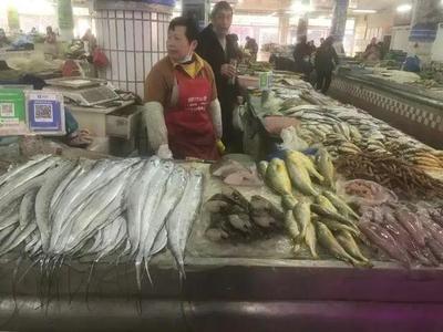 浙江水產(chǎn)市場現(xiàn)“黃金海鮮” 一斤飆至五百元，朋友圈里的價格驚嘆號