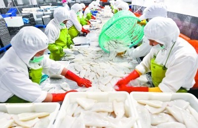 福建晉江水產(chǎn)加工出口快速增長，加工貿(mào)易成發(fā)展新引擎