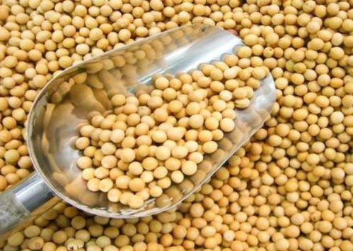 寧波進(jìn)口食品排行榜揭曉 水產(chǎn)品榮登榜首，吃貨最愛一覽