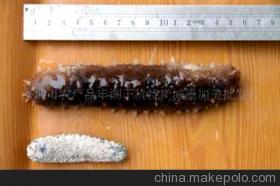 探秘滋補珍品 特級日本沖子參的營養價值與選購指南